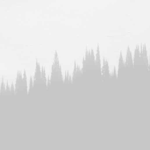 Lightbox Options